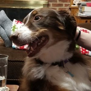 Meet your Posher, Olivia